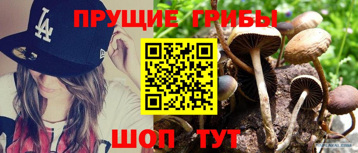 Галлюциногенные грибы Cubensis Ростов-на-Дону