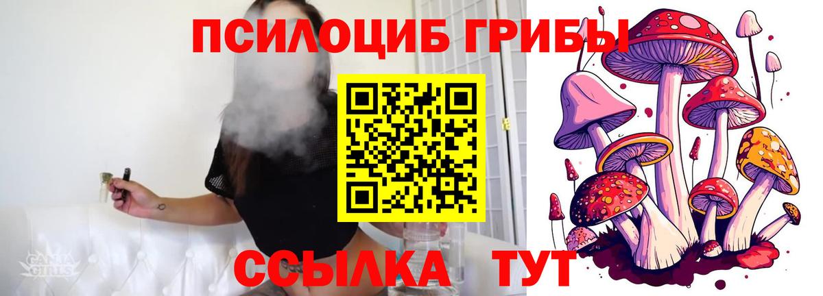 Галлюциногенные грибы GOLDEN TEACHER  Галлюциногенные грибы Cubensis  Ростов-на-Дону  Вход с VPN 